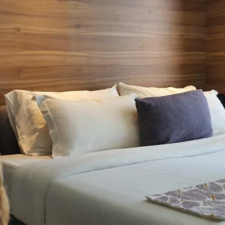 Aeropod Studio- Laxzone Suite